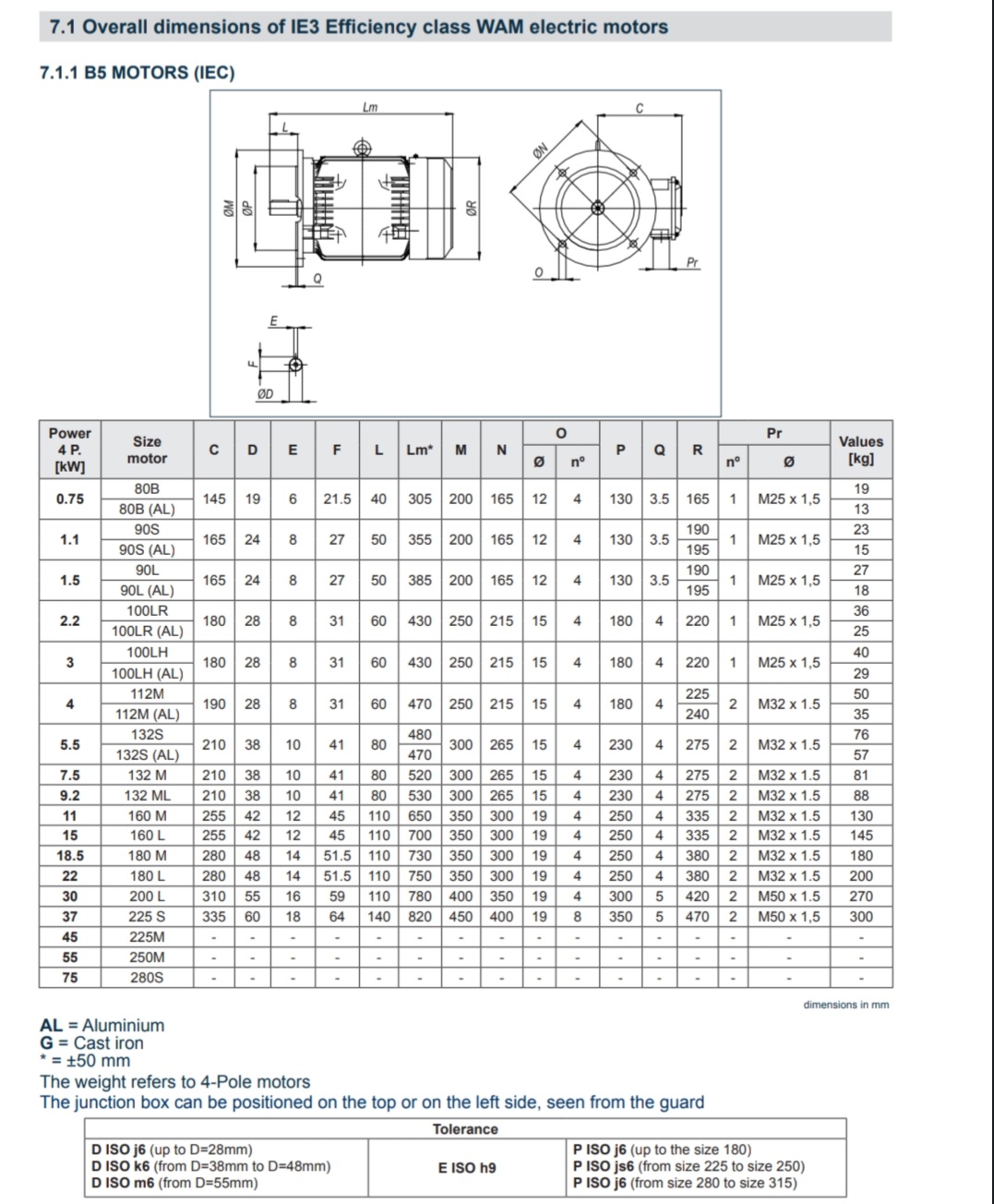 Silnik elektryczny MT100LR041453 - obrazek 2